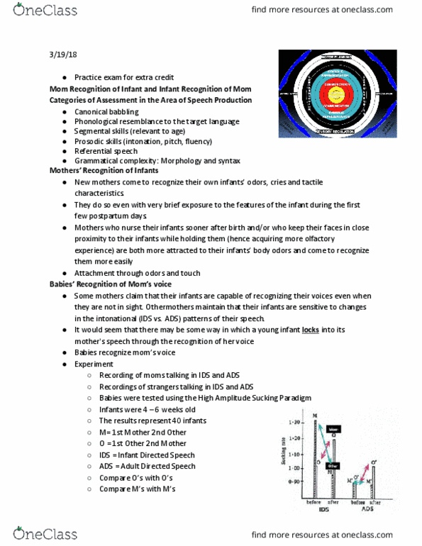 SLHS 2204 Lecture Notes - Lecture 13: Habituation, Gravidity And Parity, Phase 2 thumbnail