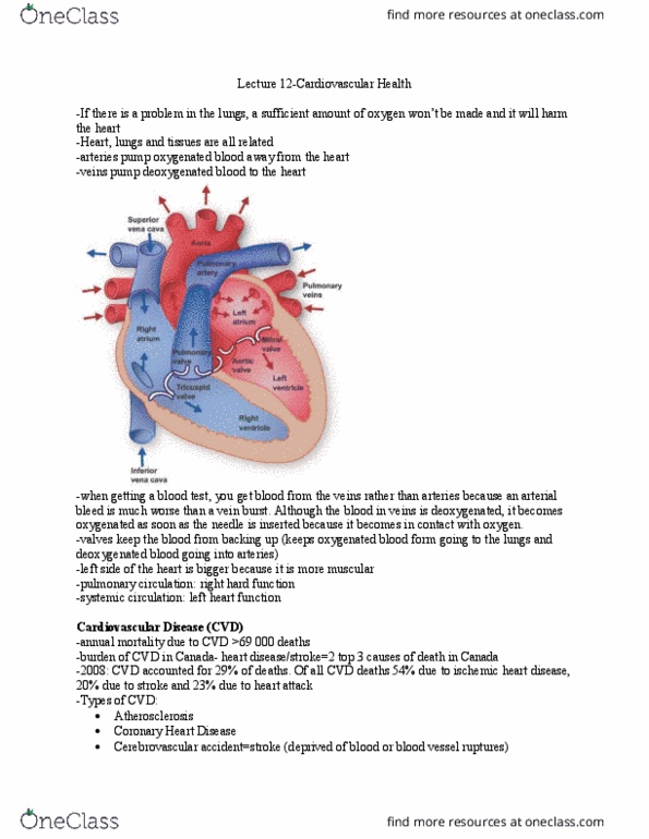 HLSC 1F90 Lecture Notes - Lecture 12: Coronary Artery Disease, Subarachnoid Hemorrhage, Heart thumbnail