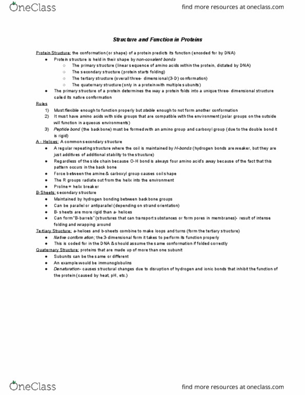 HTHSCI 1LL3 Lecture Notes - Lecture 5: Antibody, Protein Structure, Carboxylic Acid thumbnail