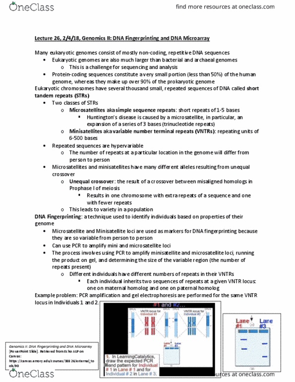 BIOL 142 Lecture Notes - Lecture 26: Exon, Chromosome, Reverse Transcriptase thumbnail