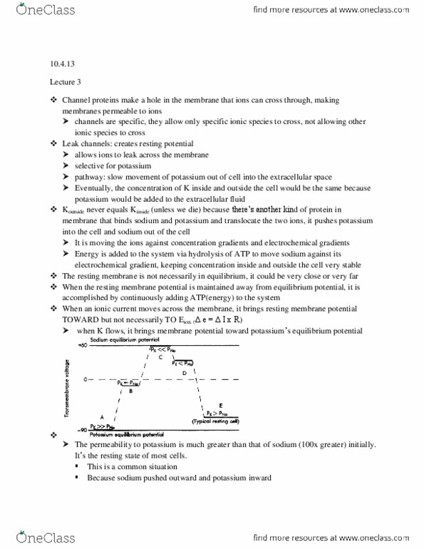 BIPN 100 Lecture Notes - Lecture 3: Membrane Potential, Electrochemical Gradient, Extracellular Fluid thumbnail