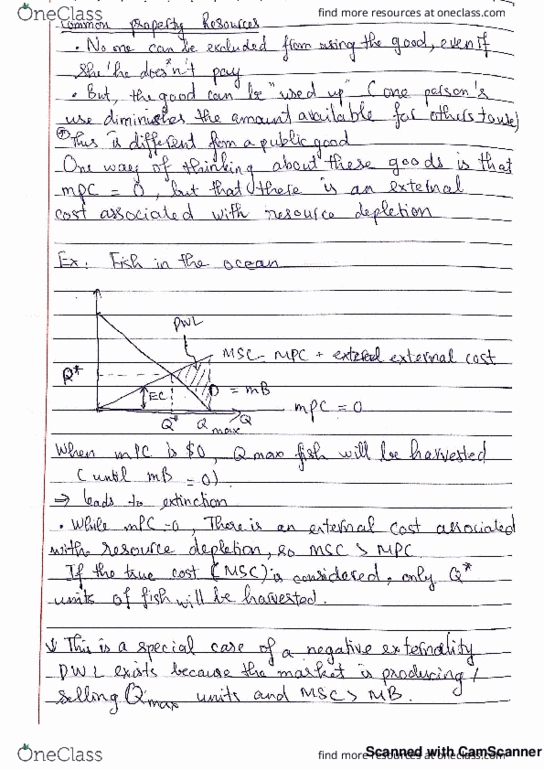 ECO 201 Lecture 15: Common property resources thumbnail