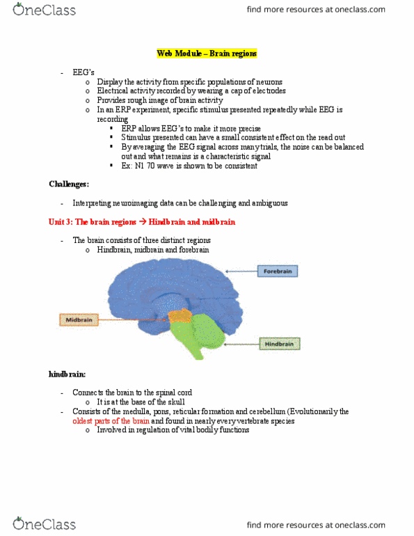 PSYCH 1XX3 Chapter Notes - Chapter Neuroscience: Hindbrain, Circadian Rhythm, Reticular Formation thumbnail