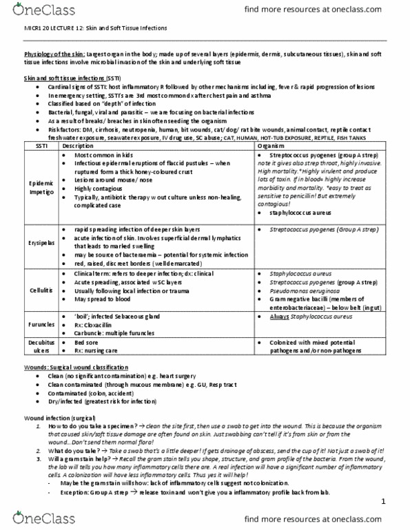 MICR 121 Lecture Notes - Lecture 12: Streptococcal Pharyngitis, Pressure Ulcer, Gram Staining thumbnail