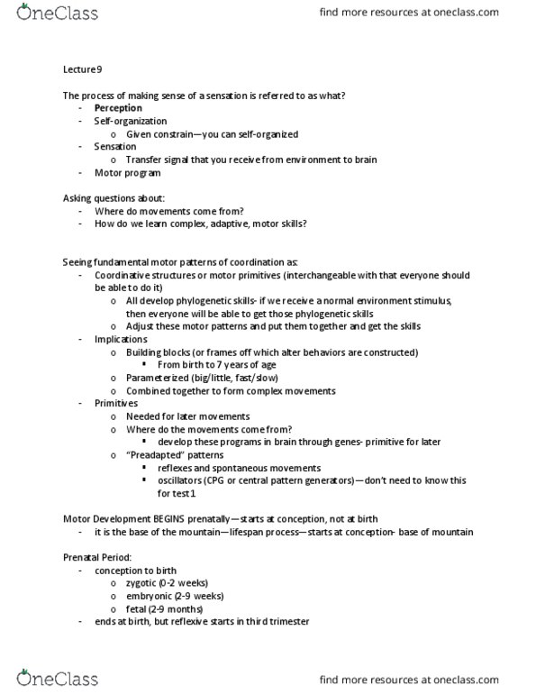 KNES 370 Lecture Notes - Lecture 9: Primitive Reflexes, Motor Coordination, Prenatal Development thumbnail