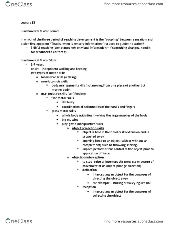 KNES 370 Lecture Notes - Lecture 13: Motor Neuron, Mechanistic Target Of Rapamycin, Chopsticks thumbnail