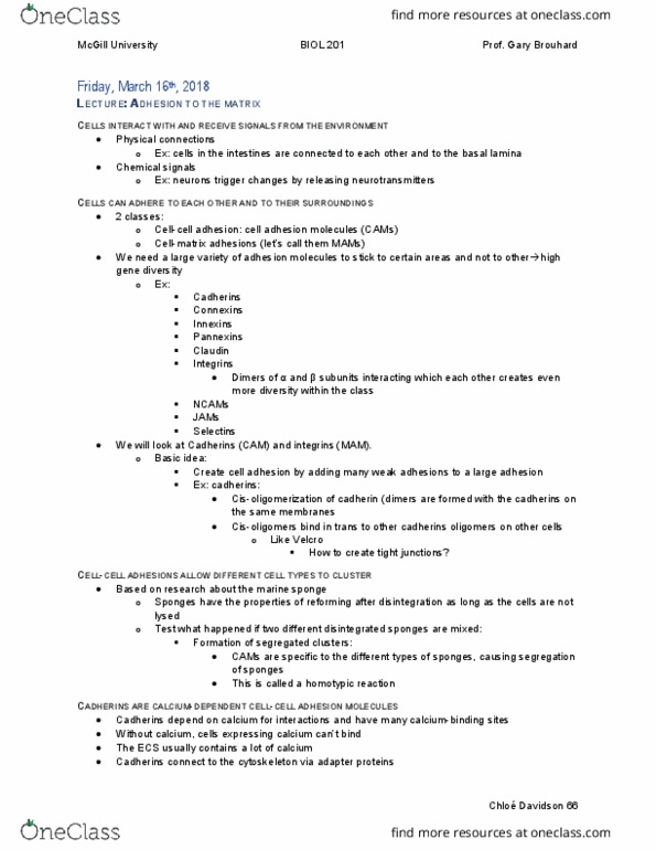 BIOL 201 Lecture Notes - Lecture 22: Sponge, Cell Adhesion Molecule, Cell Adhesion thumbnail