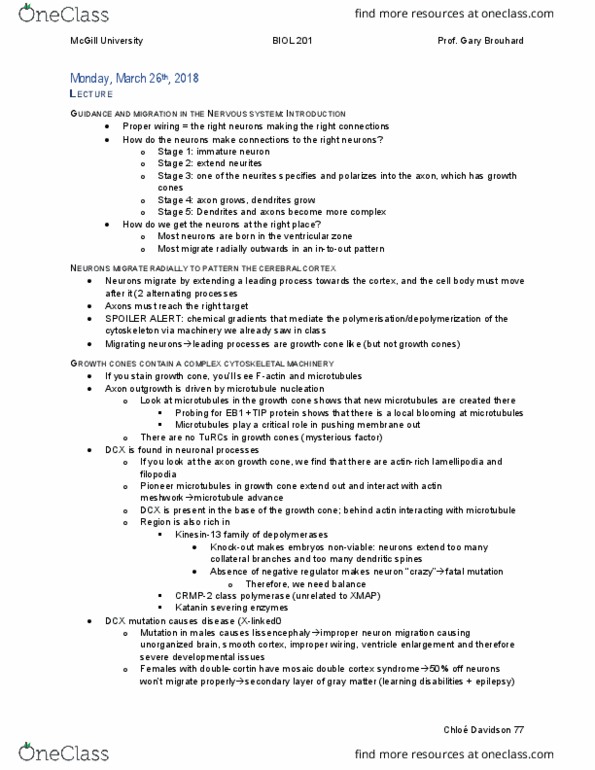 BIOL 201 Lecture Notes - Lecture 26: Microtubule Nucleation, Rho Family Of Gtpases, Growth Cone thumbnail