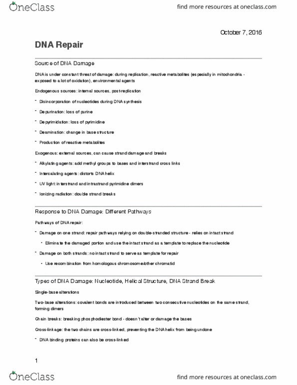 BIO 3170 Lecture Notes - Lecture 4: Pyrimidine Dimer, Depurination, Pyrimidine thumbnail