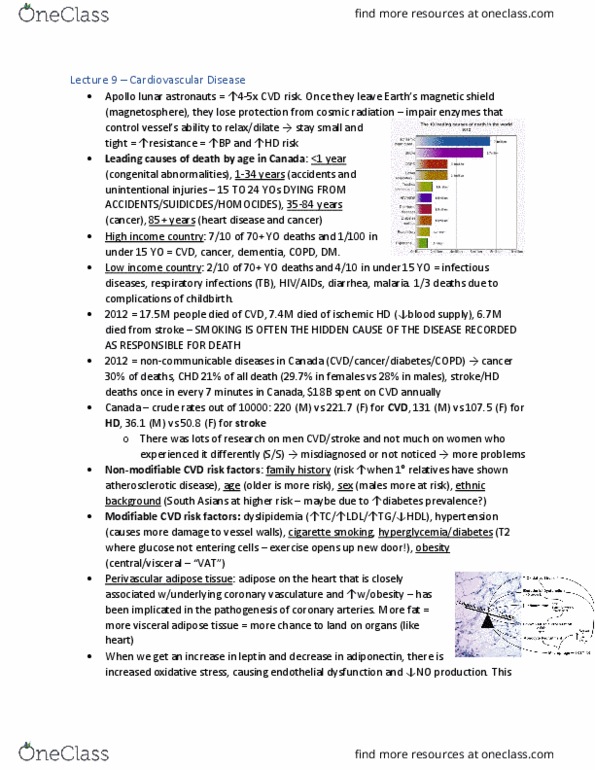 KNES 433 Lecture Notes - Lecture 9: Coronary Artery Disease, Stroke, Coronary Circulation thumbnail