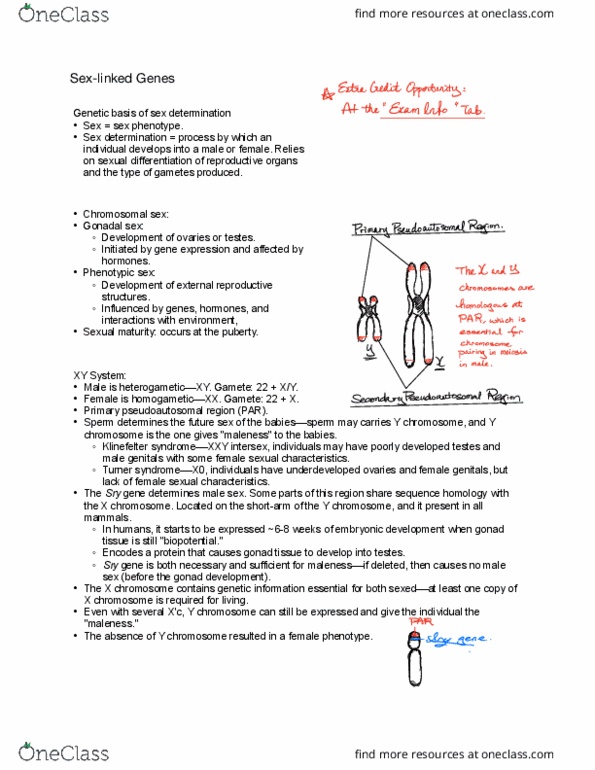 BIO 326 Lecture Notes - Lecture 5: Pseudoautosomal Region, Y Chromosome, Gonad thumbnail