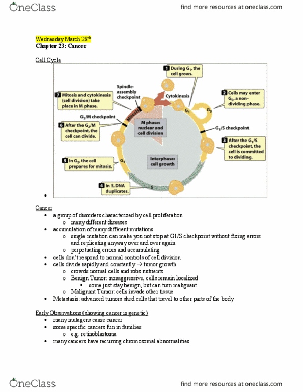 MCB 2410 Lecture Notes - Lecture 15: Bad Copy, Metastasis, Growth Factor thumbnail