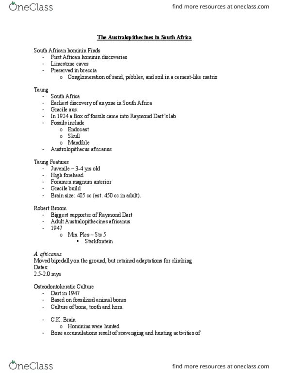 ANT 2511 Lecture Notes - Lecture 15: Foramen Magnum, Robert Broom, Sterkfontein thumbnail