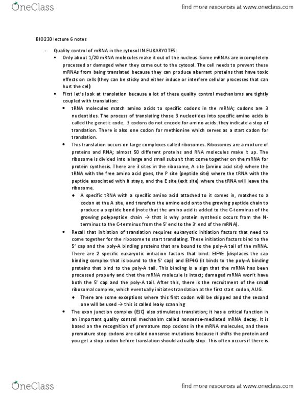 BIO230H1 Lecture Notes - Lecture 6: Exon Junction Complex, Start Codon, Polyadenylation thumbnail