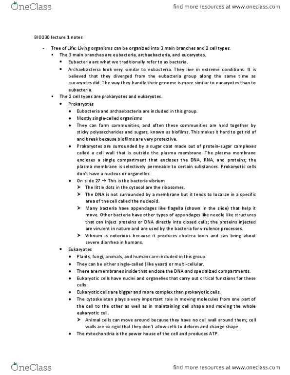 BIO230H1 Lecture Notes - Bacteria, Archaea, Cell Membrane thumbnail