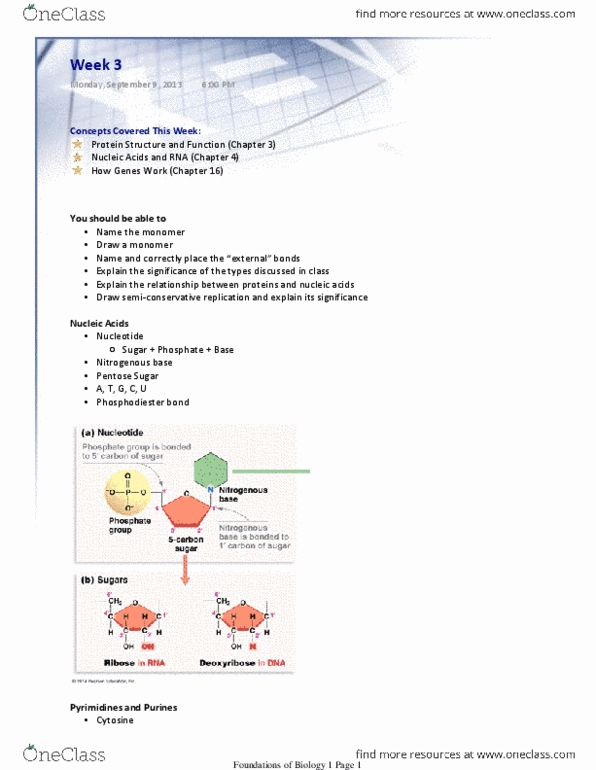 BIOSC 0150 Lecture Notes - Lecture 3: Dehydration Reaction, Covalent Bond, Dna Replication thumbnail
