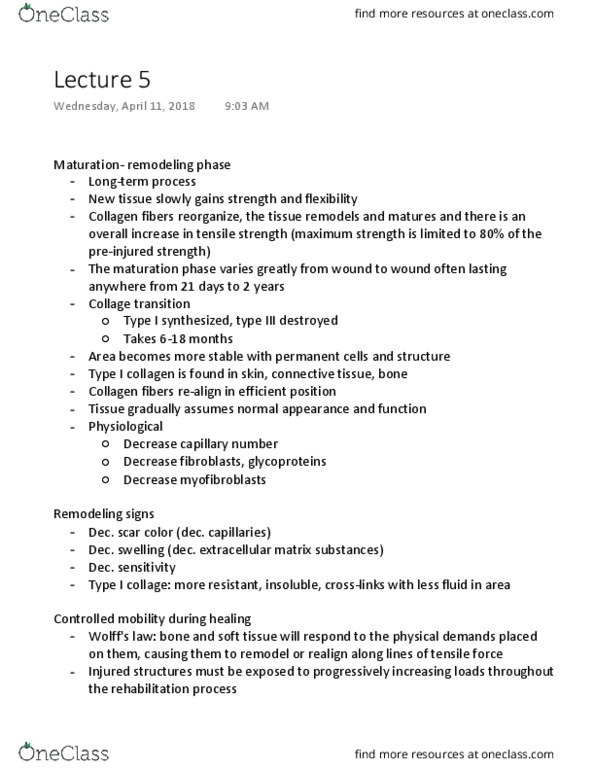 ESS 150 Lecture Notes - Lecture 5: Ultimate Tensile Strength, Myofibroblast, Bone Healing thumbnail