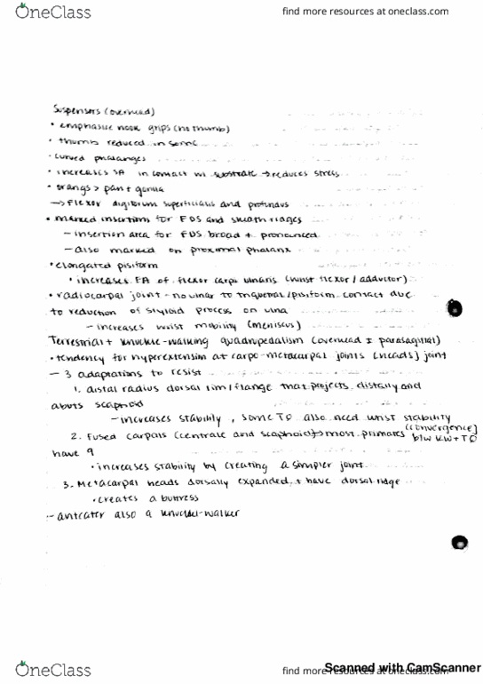 ANP 410 Lecture 13: Functional Morphology of Hands thumbnail