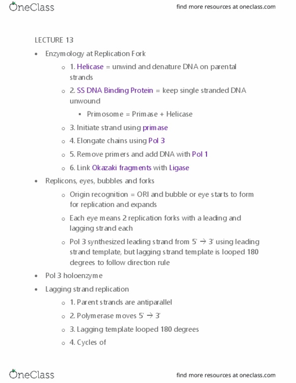 BIOB11H3 Lecture Notes - Lecture 13: Dna Replication, Okazaki Fragments, Enzyme thumbnail