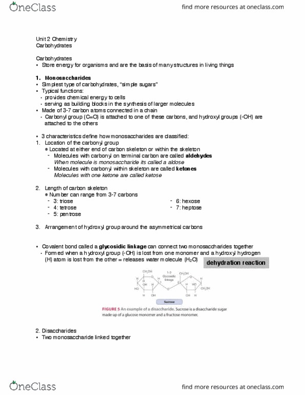 BI110 Lecture Notes - Lecture 2: Glycosidic Bond, Heptose, Tetrose thumbnail