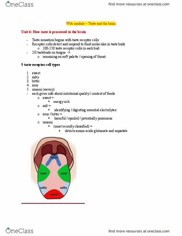 PSYCH 1XX3 Chapter Notes - Chapter Hunger & Chemical senses: Taste Bud, Taste Receptor, Brainstem thumbnail