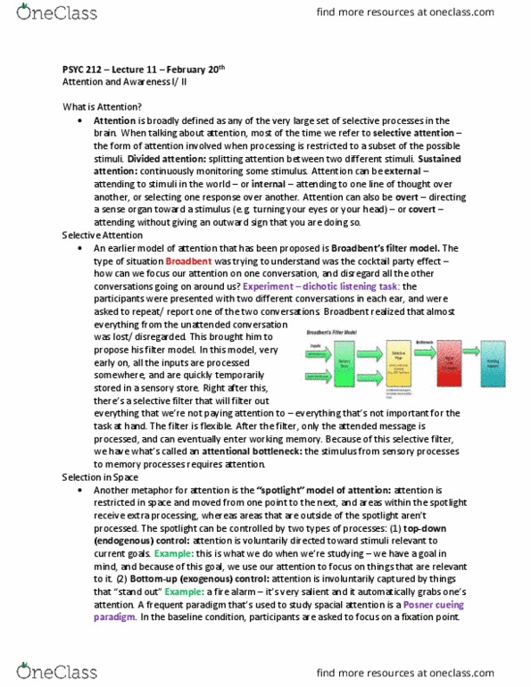 PSYC 212 Lecture Notes - Lecture 11: Donald Broadbent, The Delay, Parietal Lobe thumbnail