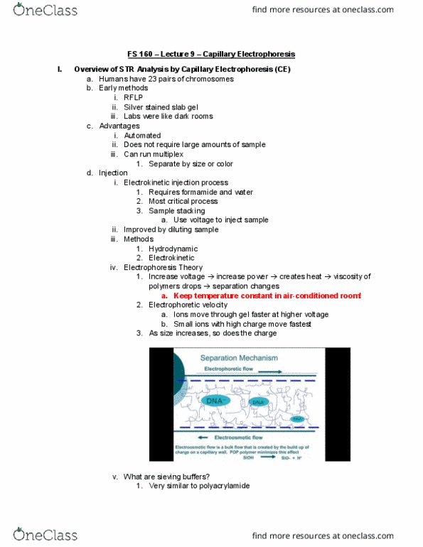 FS 160 Lecture Notes - Lecture 9: Capillary Electrophoresis, Formamide, Fused Quartz thumbnail