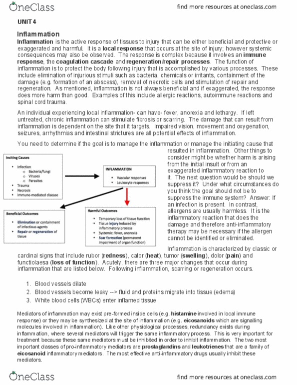 BIOM 4090 Lecture Notes - Lecture 4: Thromboxane A2, Spinal Cord Injury, Cyclooxygenase thumbnail