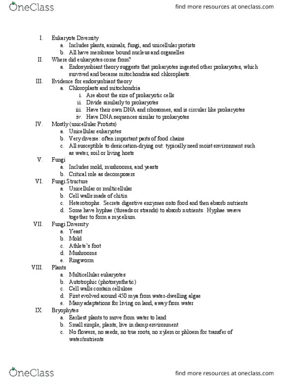 BSC 2005 Lecture Notes - Lecture 12: Mycelium, Phloem, Xylem thumbnail