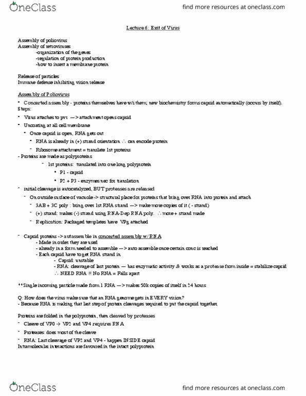 IMIN200 Lecture Notes - Lecture 6: Capsid, Poliovirus, Reverse Transcriptase thumbnail