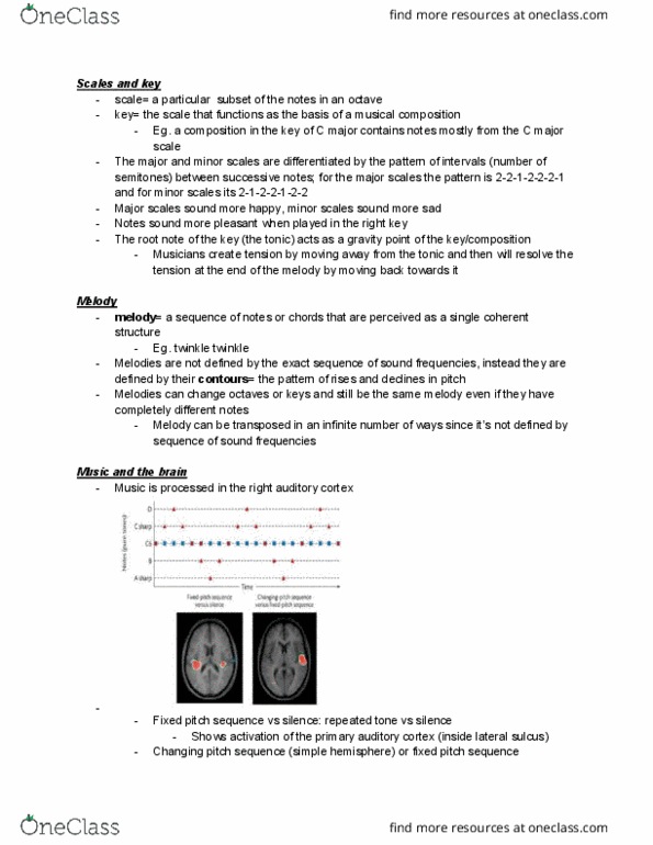PSYC 212 Lecture Notes - Lecture 17: Auditory Cortex, Register Key, Major Scale thumbnail