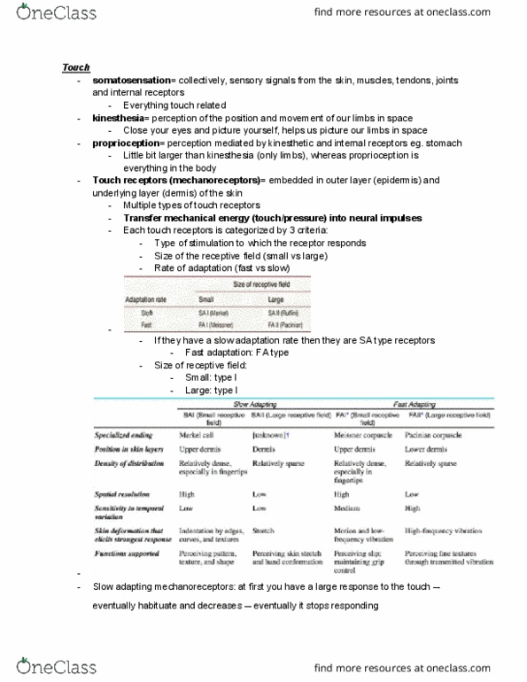 PSYC 212 Lecture Notes - Lecture 19: Receptive Field, Mechanoreceptor, Somatosensory System thumbnail