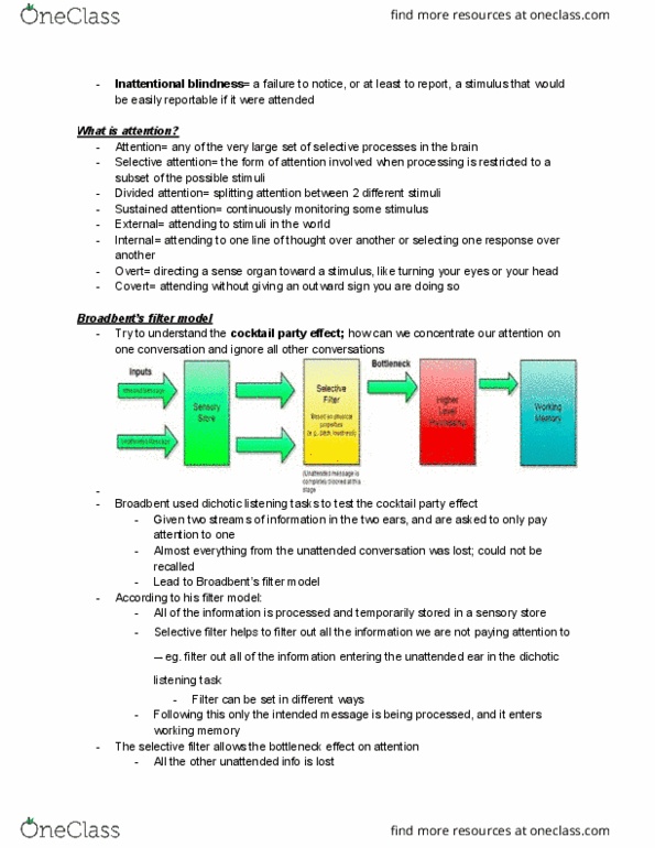 PSYC 212 Lecture Notes - Lecture 12: Donald Broadbent, Inattentional Blindness, Attentional Blink thumbnail