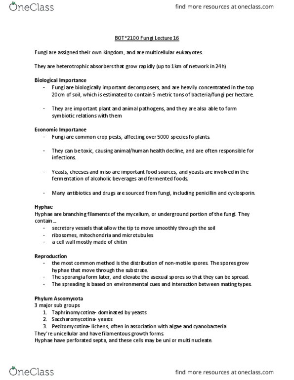 BOT 2100 Lecture Notes - Lecture 16: Saccharomycotina, Taphrinomycotina, Pezizomycotina thumbnail