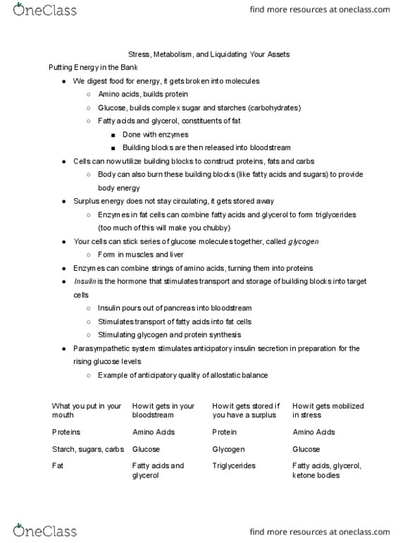 BIO SCI 47 Chapter Notes - Chapter 4: Ketone Bodies, Allostasis, Glycerol thumbnail