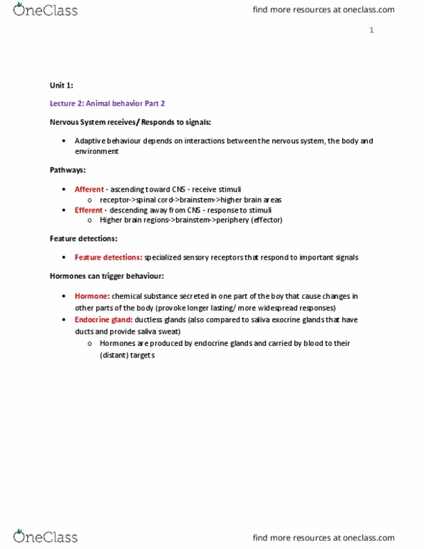 BIOA02H3 Lecture Notes - Lecture 2: Endocrine Gland, Chemical Substance, Brainstem thumbnail