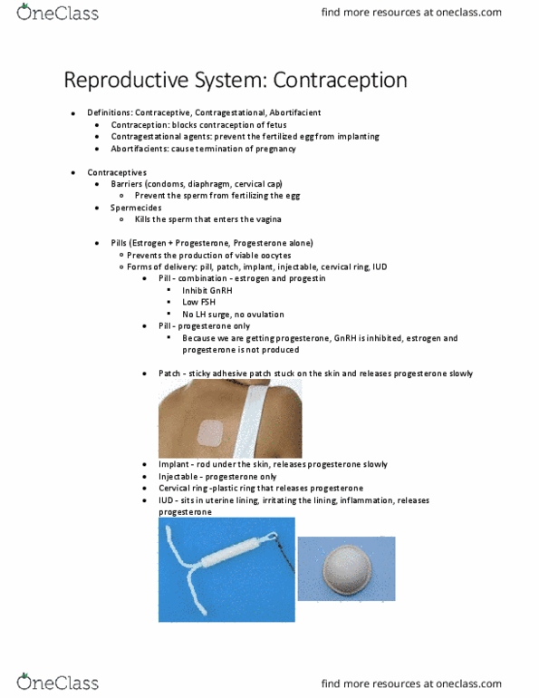 HTHSCI 1H06 Lecture 26: WINTER Reproductive System - Contraception thumbnail