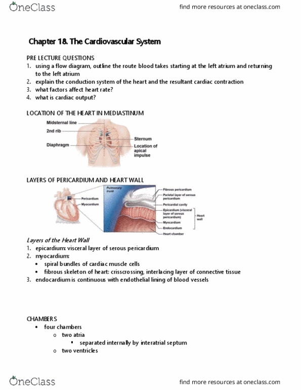 KINESIOL 1A03 Lecture Notes - Lecture 15: Thyroid Hormones, Superior Vena Cava, Pulmonary Circulation thumbnail