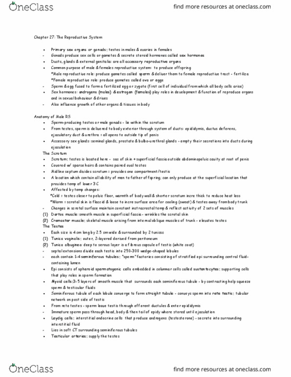 ANP 1107 Lecture Notes - Lecture 5: Defensin, Spheroid, Aorta thumbnail