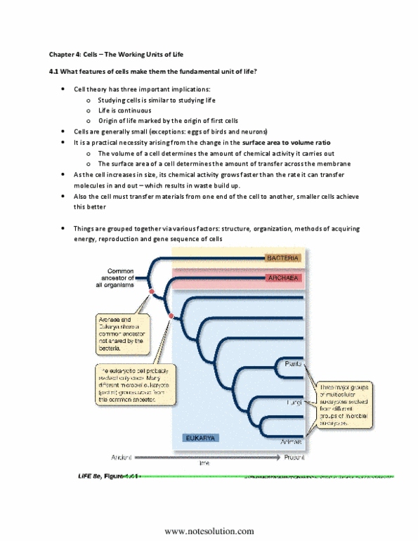 BIOA01H3 Chapter Notes - Chapter 4: Periplasm, Gram Staining, Glycerol thumbnail