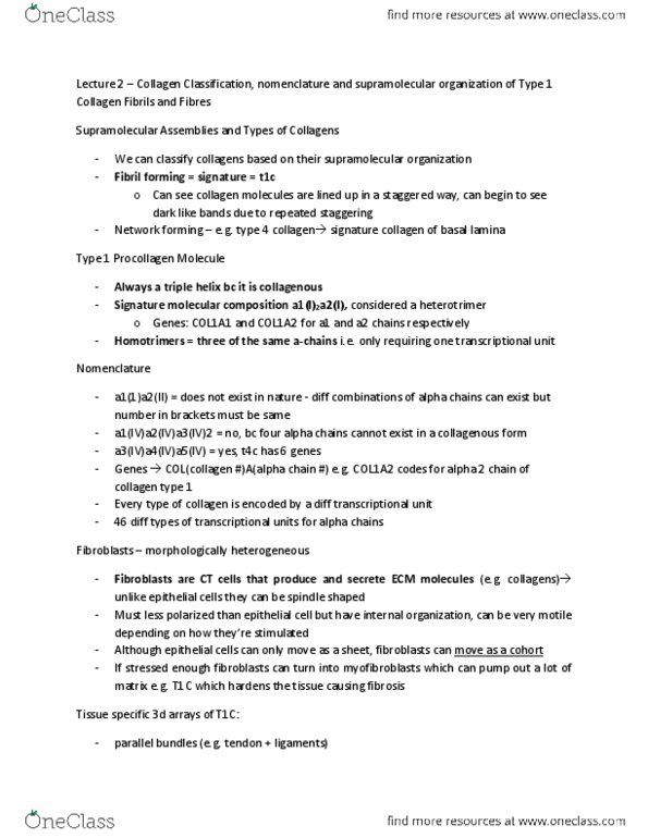 CSB327H1 Lecture Notes - Lecture 2: Flat Bone, Sclera, Glycosylation thumbnail