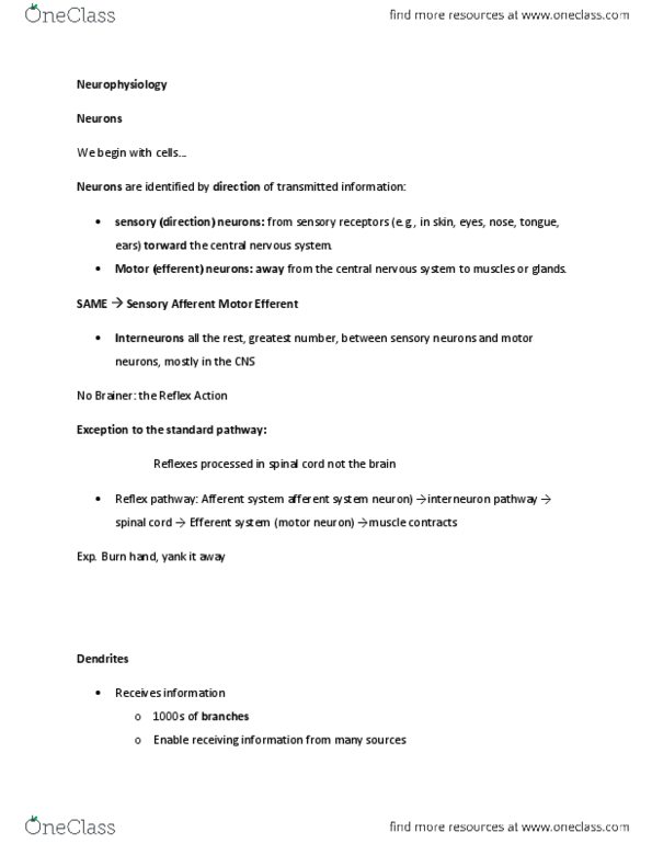 PSY-P 101 Lecture Notes - Inhalant, Adenosine Receptor, Motor Neuron thumbnail