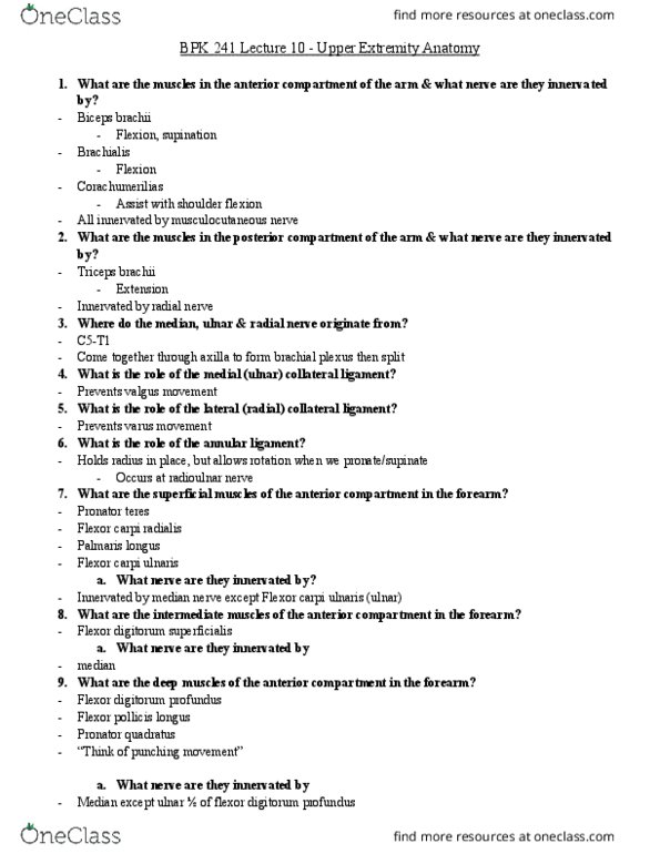 BPK 241 Lecture Notes - Lecture 10: Pronator Teres Muscle, Musculocutaneous Nerve, Opponens Pollicis Muscle thumbnail