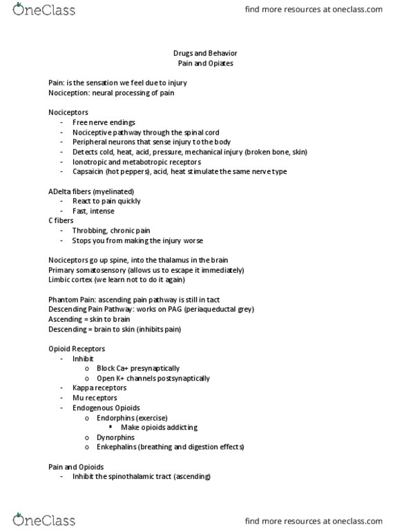 NROSCI 0081 Lecture Notes - Lecture 28: Desomorphine, Cold Turkey, Buprenorphine thumbnail