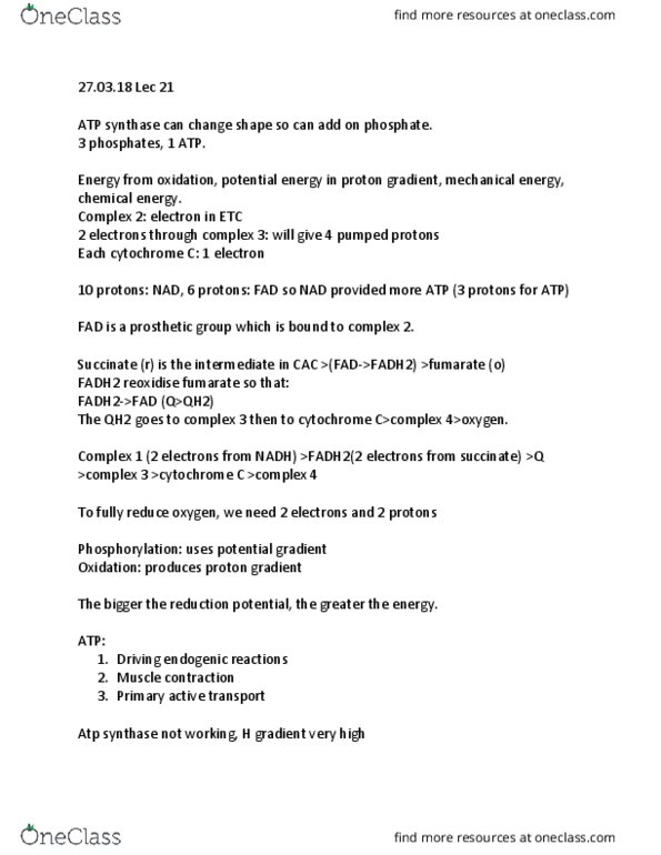 BIOCH200 Lecture Notes - Lecture 21: Atp Synthase, Active Transport, Electrochemical Gradient thumbnail