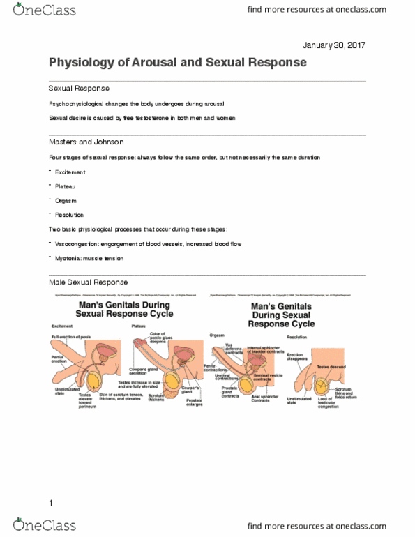 PSY 3122 Lecture Notes - Lecture 6: Testicle, Autonomic Nervous System, G-Spot thumbnail