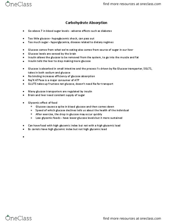 BIOCHEM 4M03 Lecture Notes - Lecture 3: Glycemic Load, Glut5, Hypoglycemia thumbnail