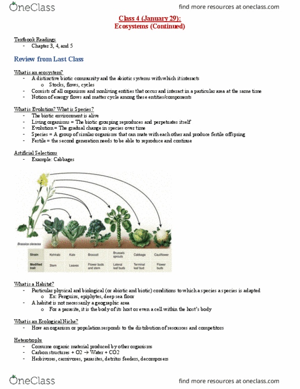 ENV 1101 Lecture Notes - Lecture 4: Habitat Fragmentation, Ordovician, Soil Chemistry thumbnail