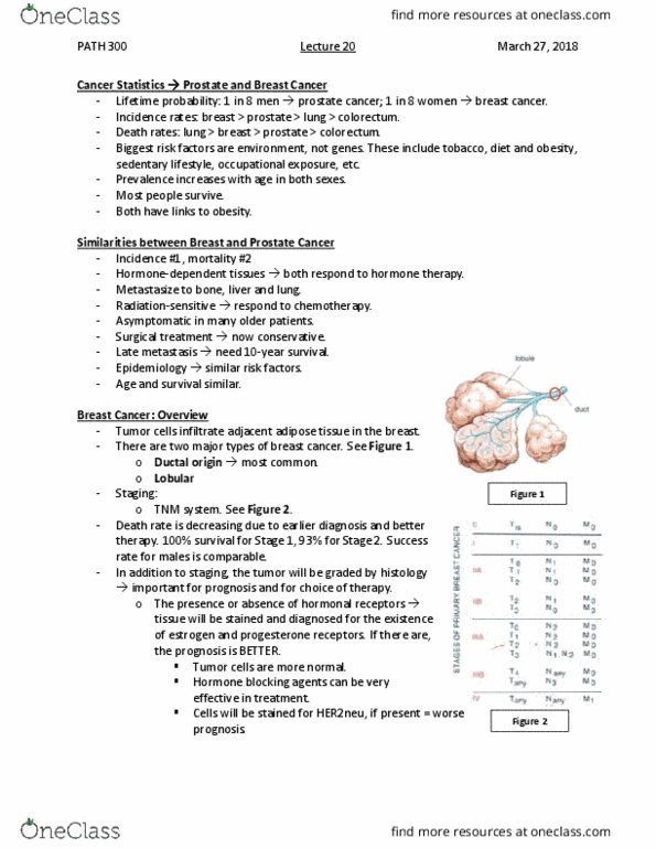 PATH 300 Lecture Notes - Lecture 20: Motility, Ovarian Cancer, Nipple Discharge thumbnail