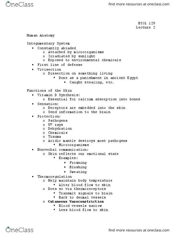 BIOL 129 Lecture Notes - Lecture 2: Vasodilation, Dermis, Homeostasis thumbnail